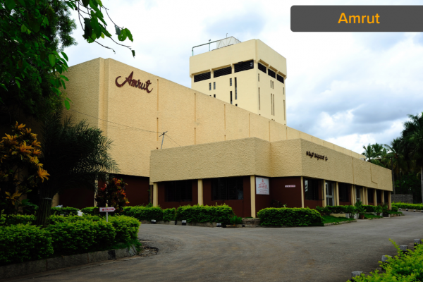 Amrut